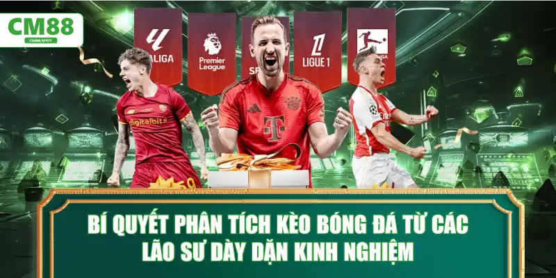 Bí quyết phân tích kèo bóng đá từ các lão sư dày dặn kinh nghiệm